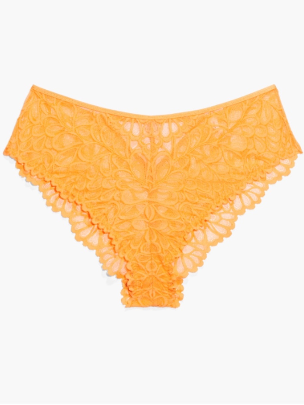 Savage x Fenty Savage Not Sorry Lace Cheeky Panty Size 2X